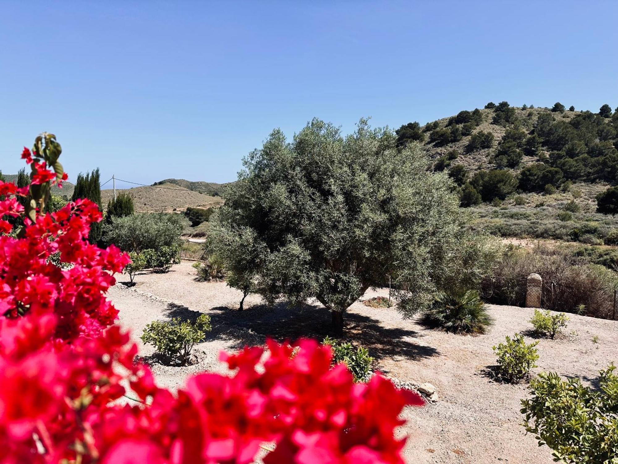 Finca Ocha - Calblanque Los Belones Zewnętrze zdjęcie