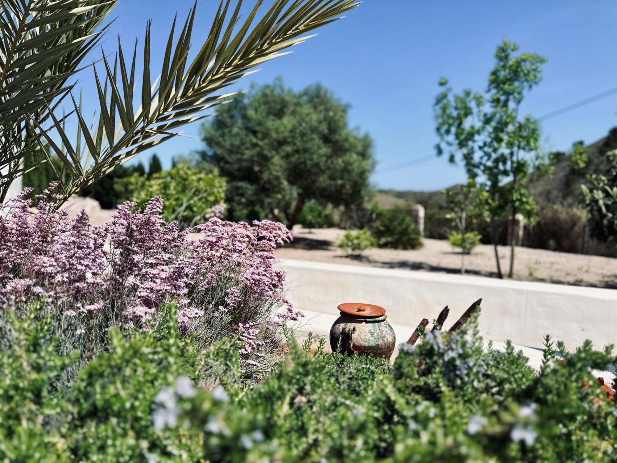 Finca Ocha - Calblanque Los Belones Zewnętrze zdjęcie