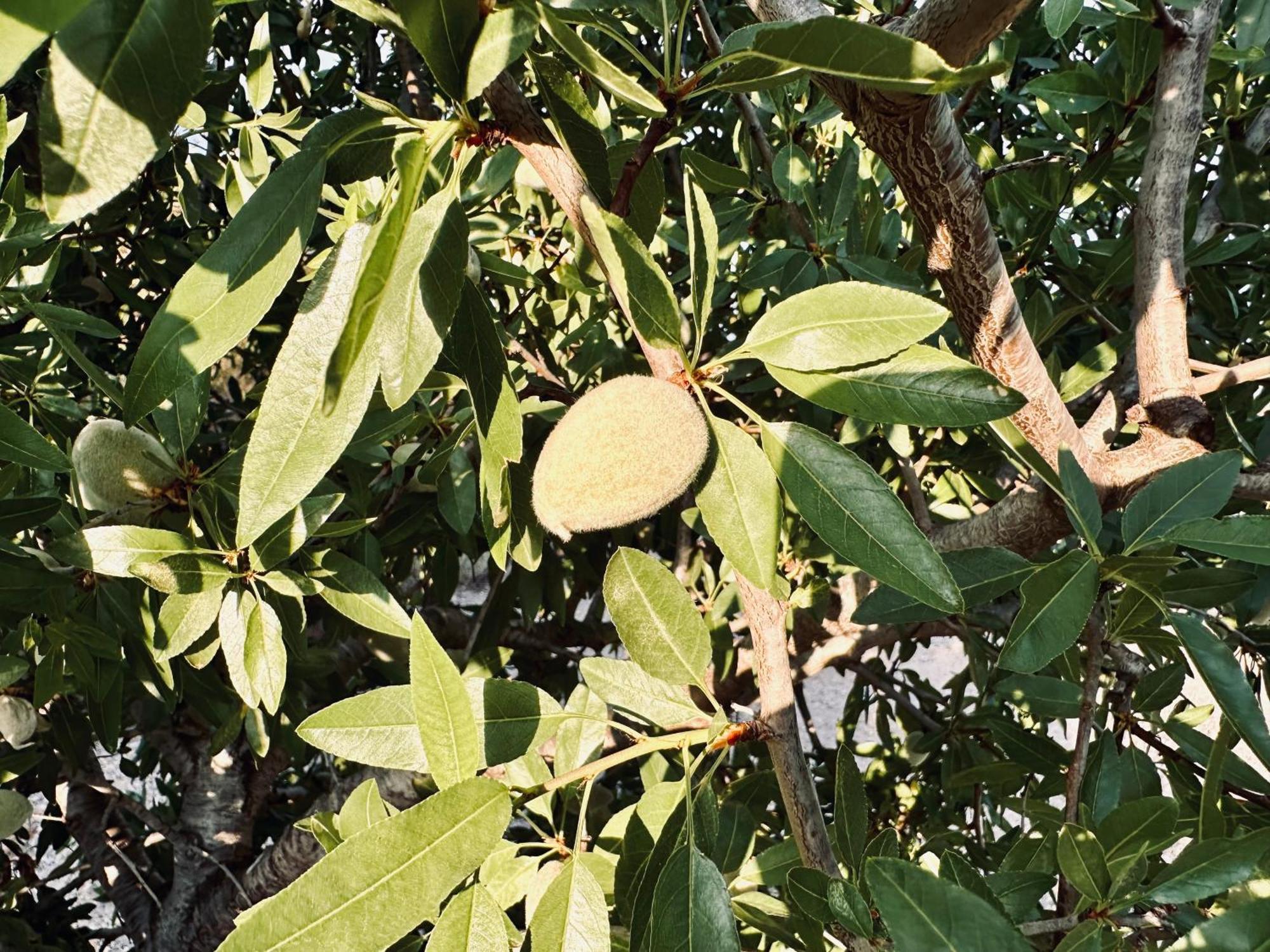 Finca Ocha - Calblanque Los Belones Zewnętrze zdjęcie