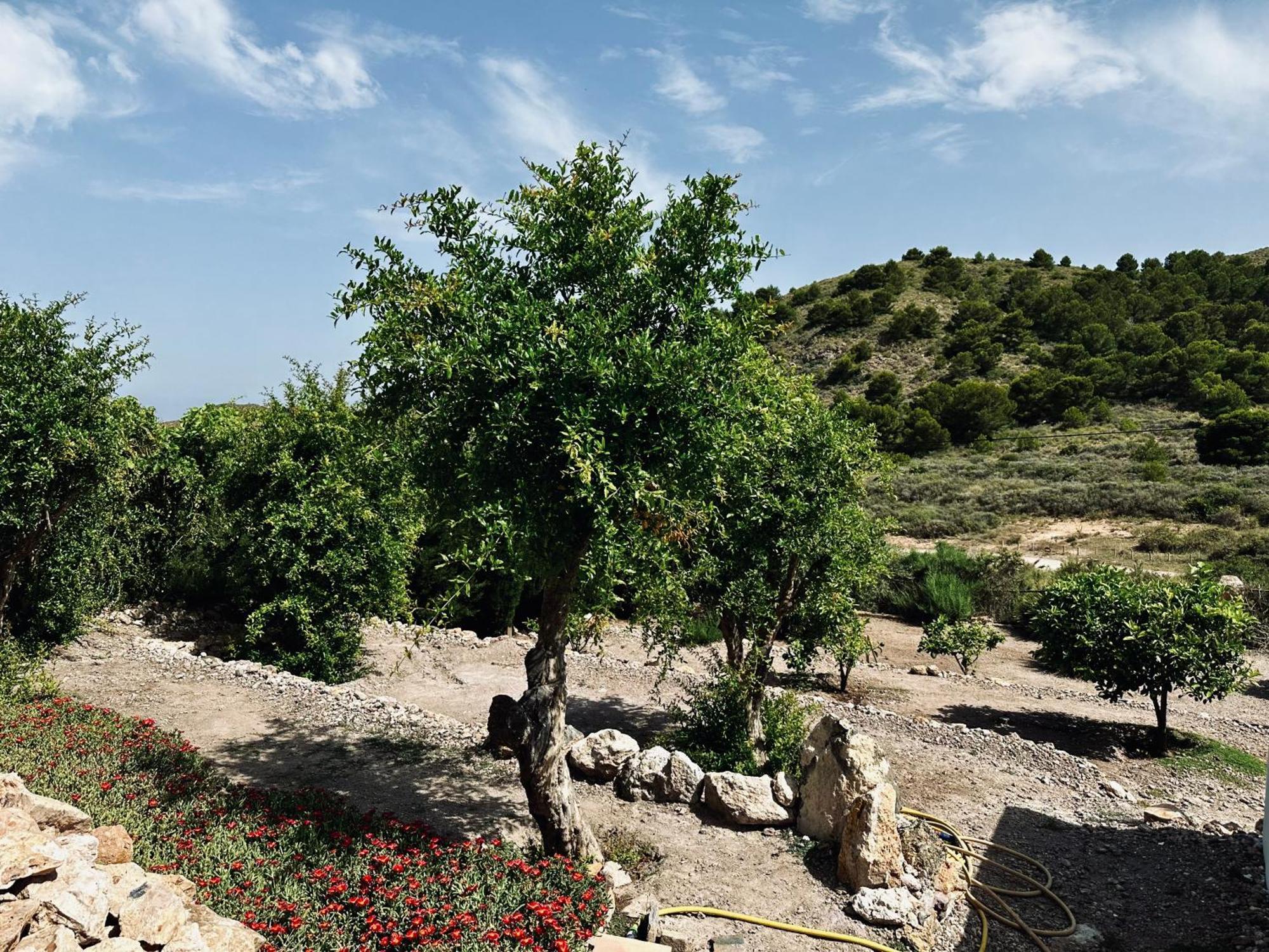 Finca Ocha - Calblanque Los Belones Zewnętrze zdjęcie