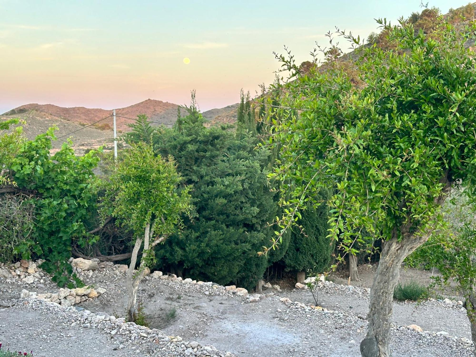 Finca Ocha - Calblanque Los Belones Zewnętrze zdjęcie