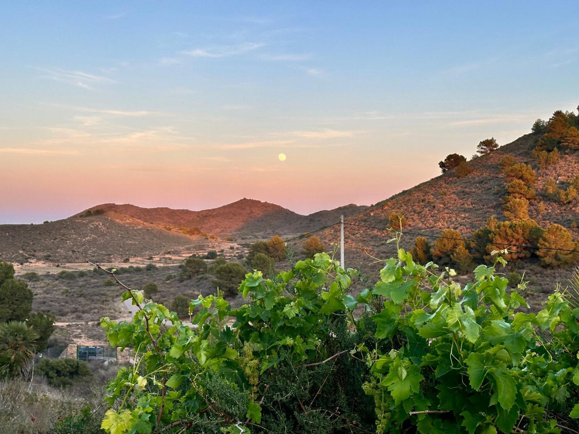 Finca Ocha - Calblanque Los Belones Zewnętrze zdjęcie