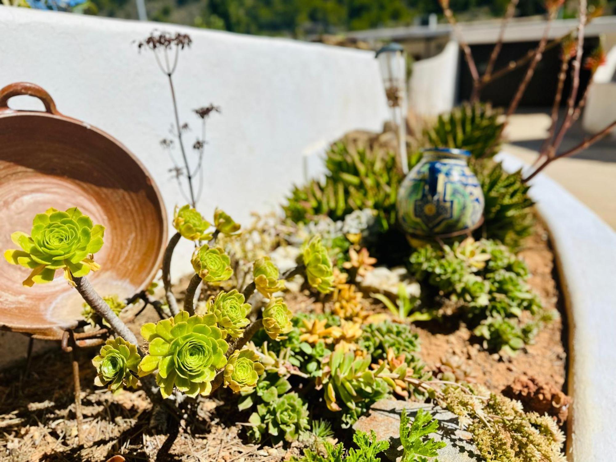 Finca Ocha - Calblanque Los Belones Zewnętrze zdjęcie