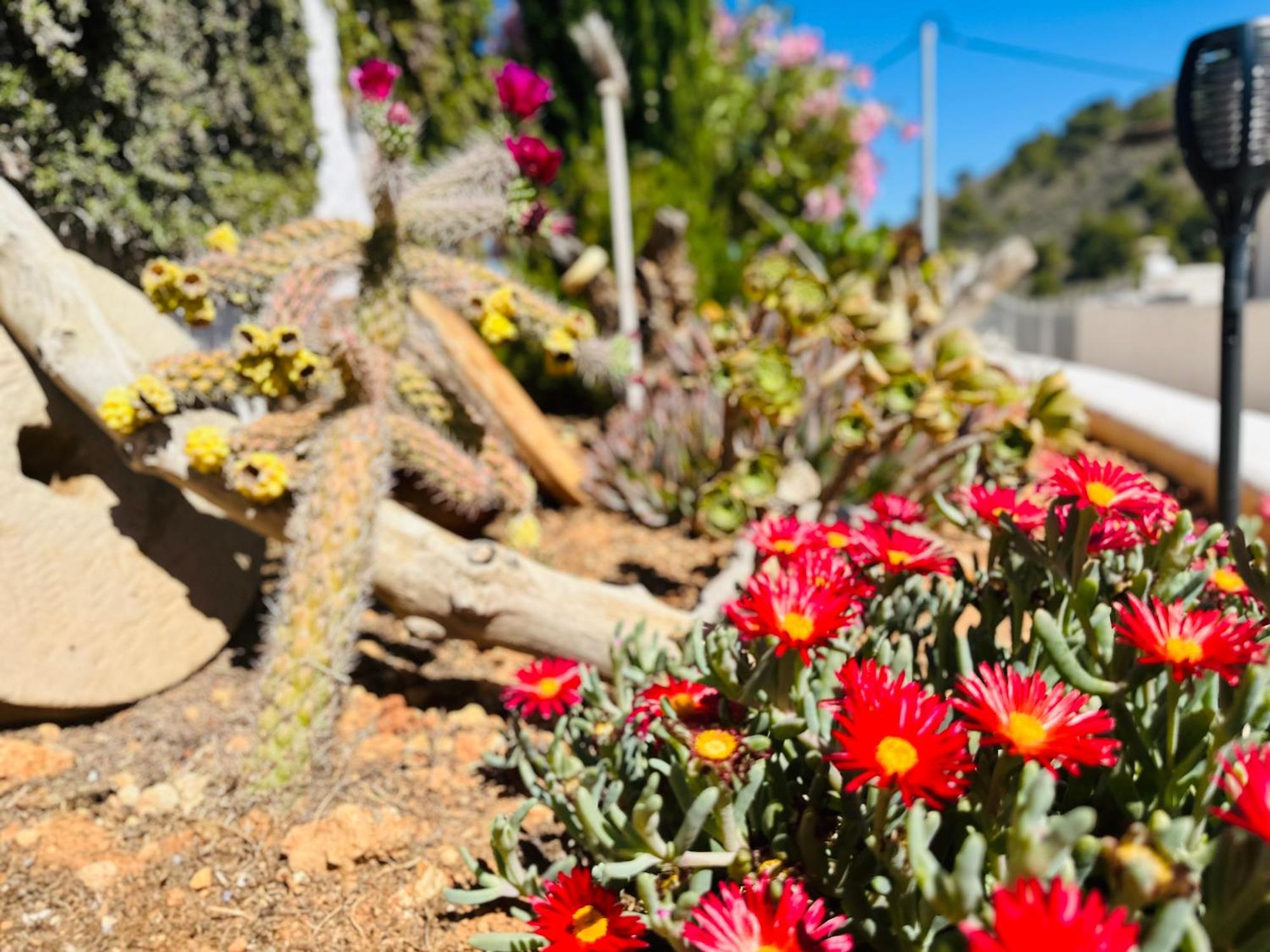Finca Ocha - Calblanque Los Belones Zewnętrze zdjęcie