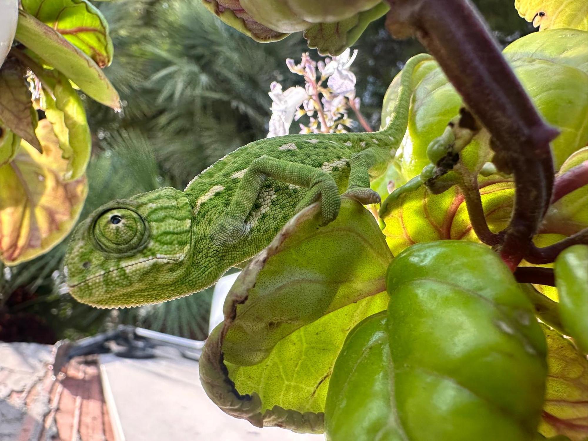 Finca Ocha - Calblanque Los Belones Zewnętrze zdjęcie