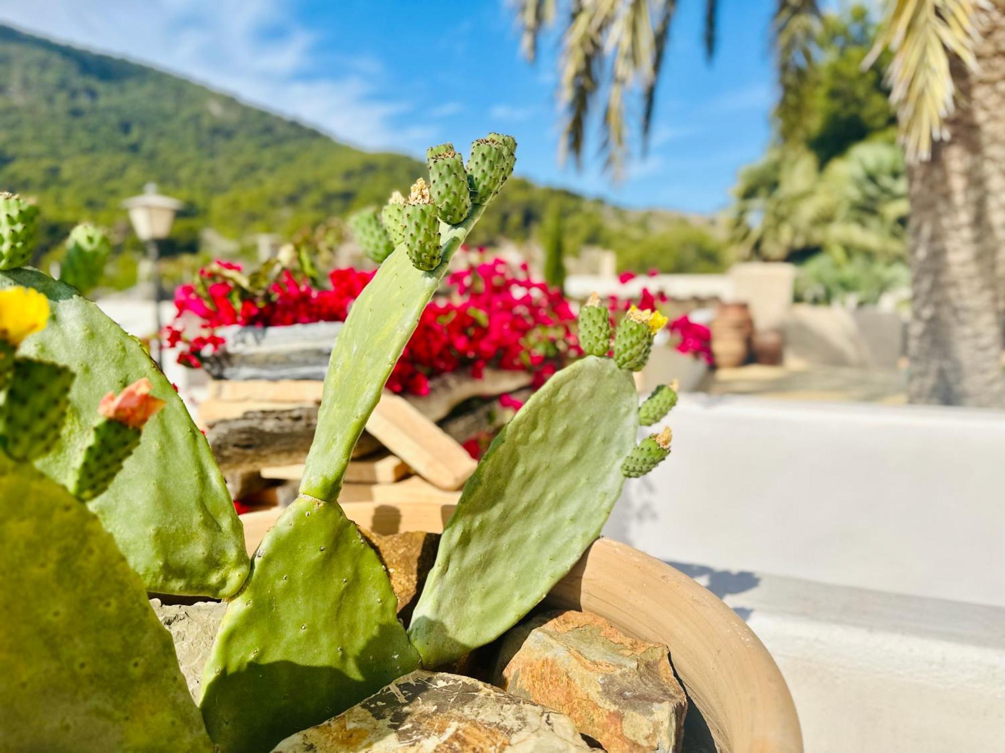Finca Ocha - Calblanque Los Belones Zewnętrze zdjęcie