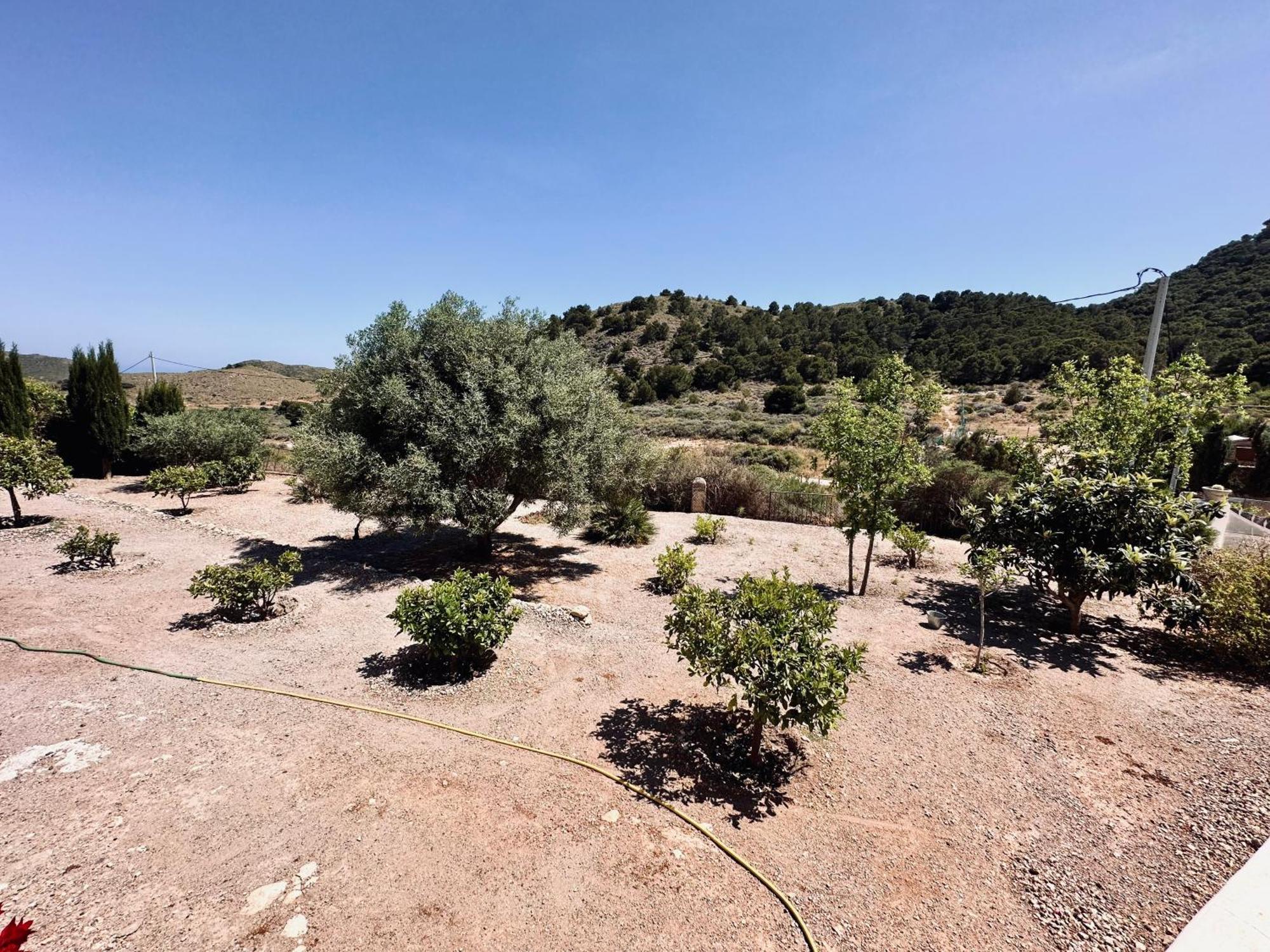 Finca Ocha - Calblanque Los Belones Zewnętrze zdjęcie