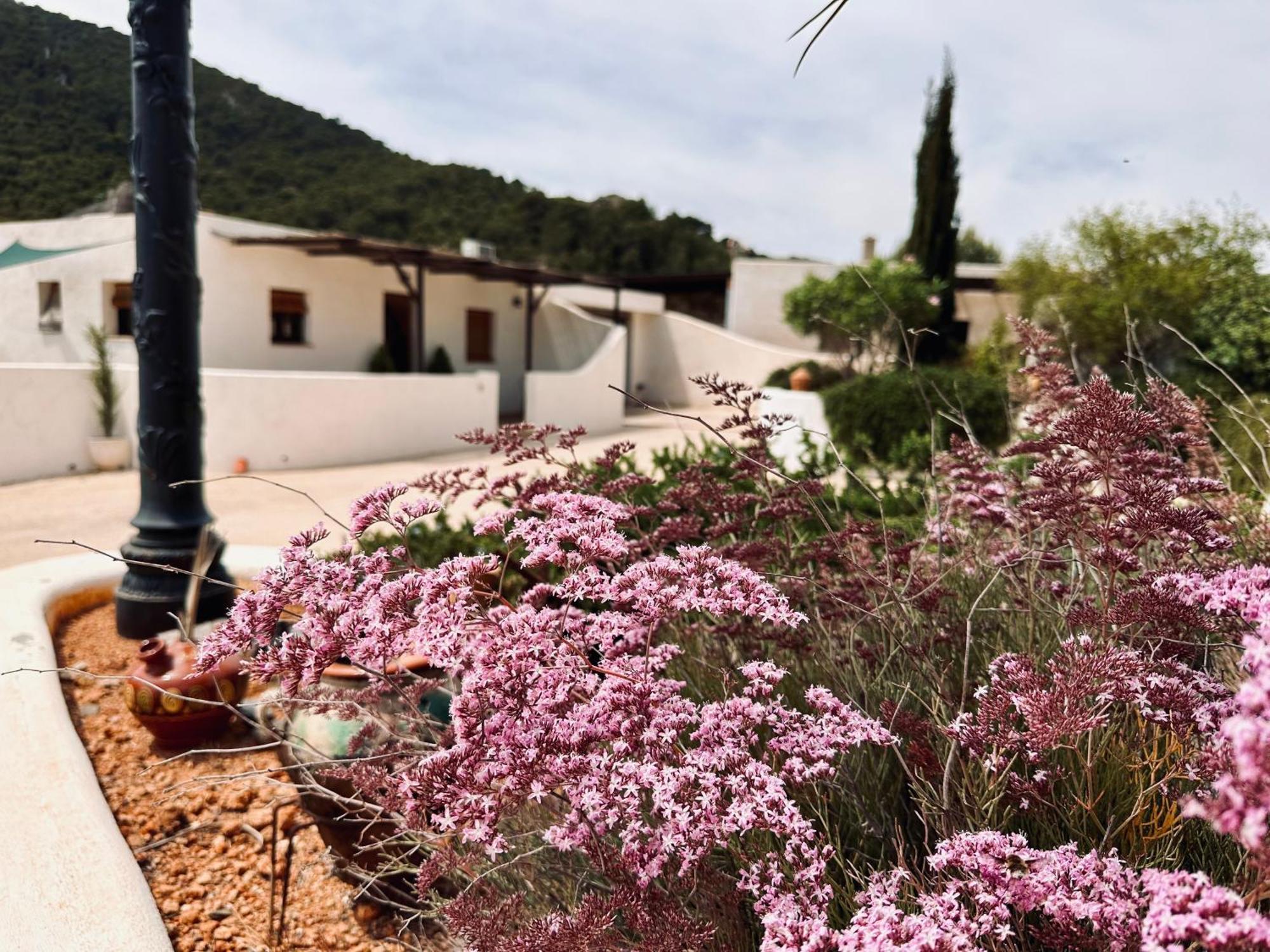 Finca Ocha - Calblanque Los Belones Zewnętrze zdjęcie