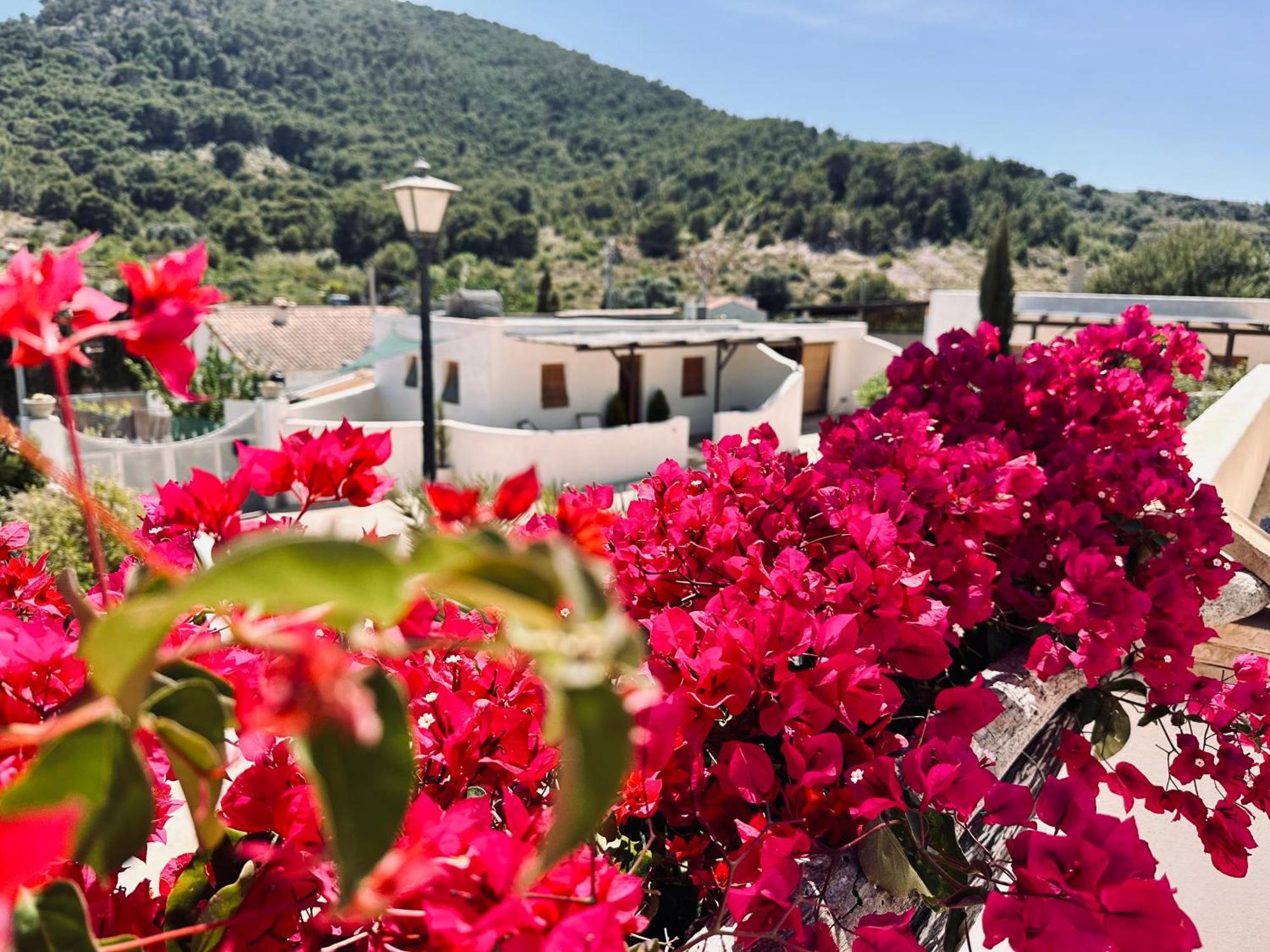 Finca Ocha - Calblanque Los Belones Zewnętrze zdjęcie